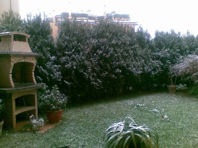 03012008(001).jpg