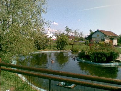 20042008.jpg
