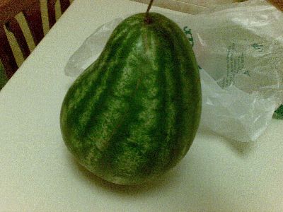31052009(001).jpg